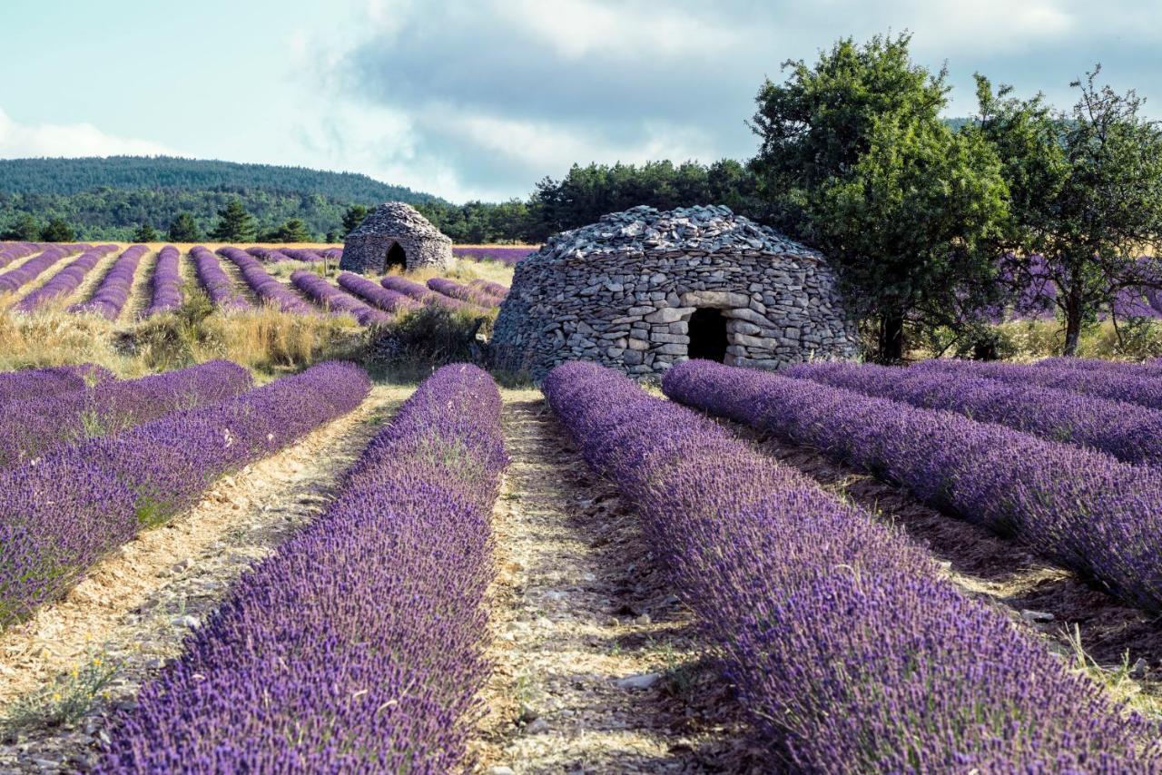 Gite La Bastide De La Loge Au Pied Du Mont Ventoux Sault Eksteriør billede